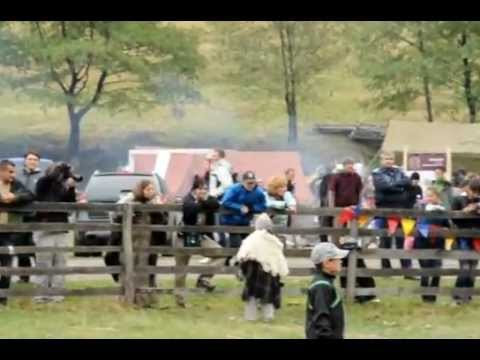 Dac Fest 2012 - sub semnul lupului - reenactori (2)