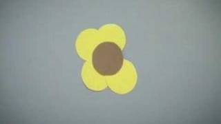 Gruff Rhys - Candylion