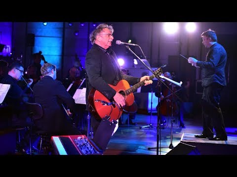 Pavol Hammel Čierna ruža | Koncert Marian Varga in Memoriam - Bratislava 2018 (Live)