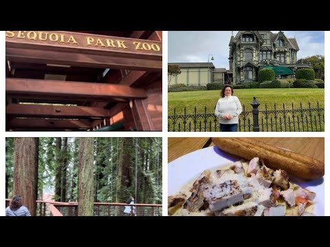 Eureka , California ( Sequoia Zoo, Samoa Beach, Old Street..)
