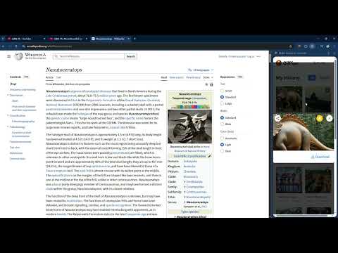 Item video thumbnail