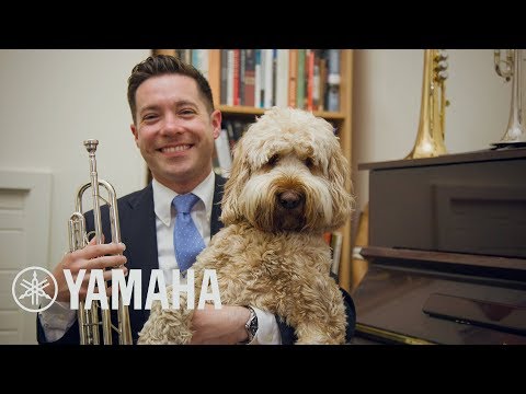download lagu mp3 mp4 Joel Brennan, download lagu Joel Brennan gratis, unduh video klip Joel Brennan