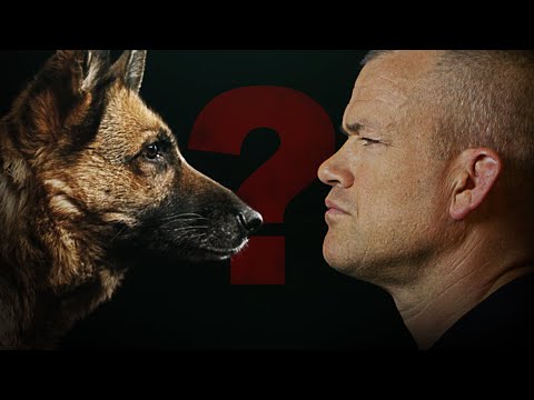 Watch This Before You Ever Get a Dog.  Jocko Willink.
