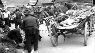 Corpses buried, survivor inmates and crematory at the Nazi concentration camp in ...HD Stock Footage