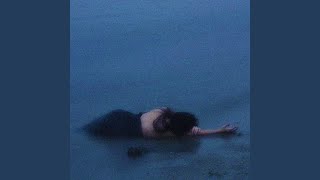 Cover art for Fallen Down (Reprise/Remix)