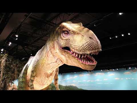 Discover How Science Confirms the Bible | ICR Discovery Center | Dallas, TX