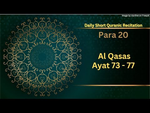 Daily Quran Recitation | Al Qasas  |73 - 77 | Sheikh Mashary Rashed El Afasi