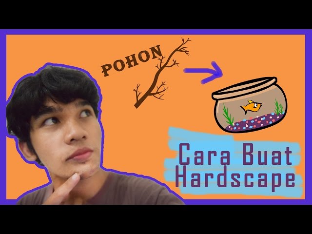 Tutorial Cara Buat Hiasan Aquarium Murah - Hardscape Pohon Aquascape