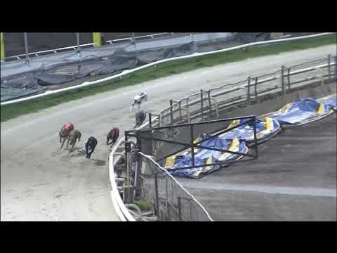 2019 TRAINERS CHAMPIONSHIP - STAYERS A - T3 RIDGEDALE MAX