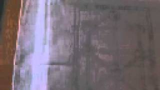 THE SEAL OF MYSTERIES (THE TREE OF LIFE)