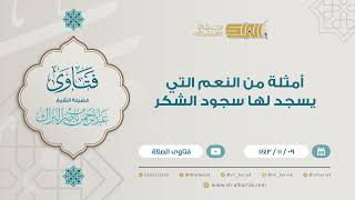 أمثلة من النعم التي يسجد لها سجود الشكر - للشيخ عبدالرحمن البراك (9212) image