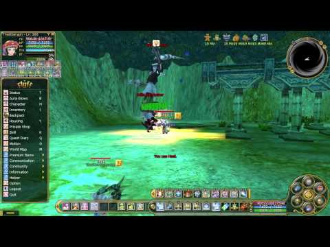 Insanity Flyff E30 - Boss Hunting Ivillis Leanes in Ivillis Temple