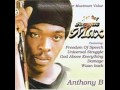 Anthony B  -   Bobo Cloth   2002