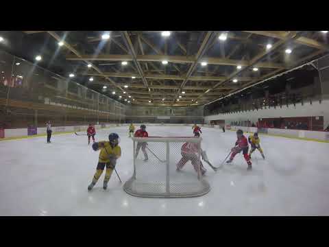 U12-1 HC VIPERS - HC TORNAADO