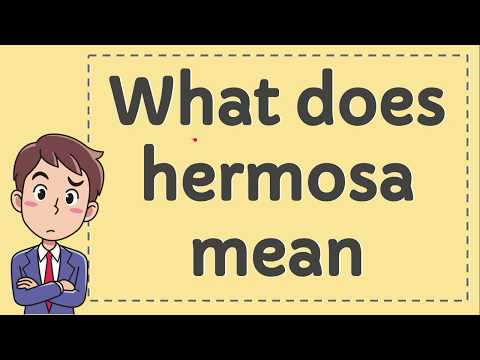 English hermoso means in hermoso translation