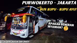 Download lagu BUS INI KATANYA NYAMAN BANGET, TAPI KOK....😅| Trip Kupu-Kupu Ayu Purwokerto – Jakarta. mp3