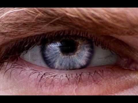 Čuvajmo svoj  pogled od harama