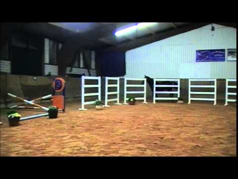 Casall x Landos geb. 2009