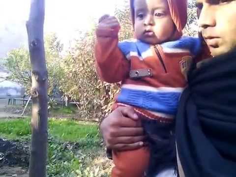 afzaal and zaigham watching a cat.3gp