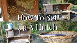 How To Set Up A Guinea Pig Hutch | Imy