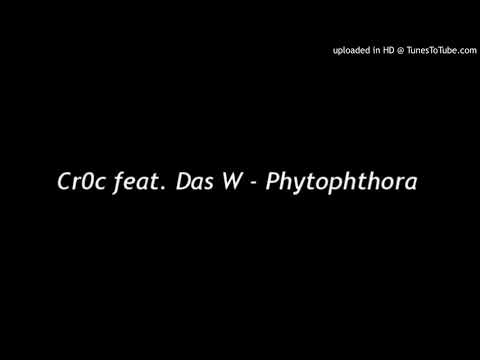 Cr0c feat. Das W - Phytophthora