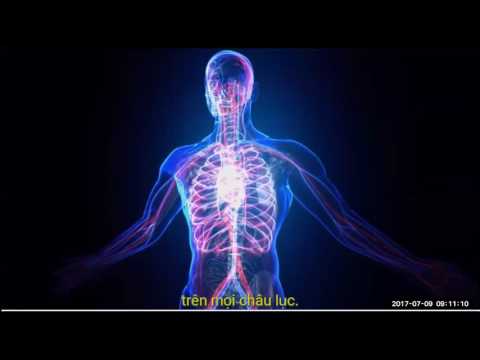 2017 07 09 AM Public Teaching in Vietnamese - Buổi giảng công cộng bằng tiếng Việt