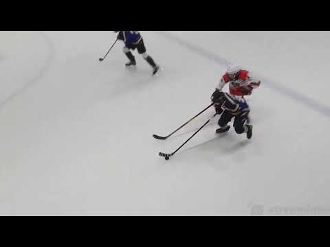 Kiekko-Espoo Blues - Tappara, U12, AAA+