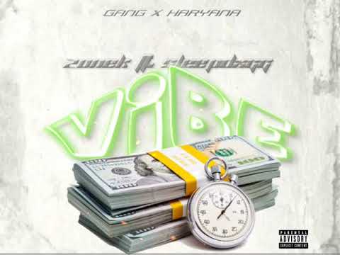 VIBE - ZONEK FT. SLEEPDXGG (Official Audio) Gang x Haryana