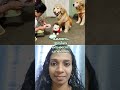 എത്ര പറഞ്ഞാലും കേൾക്കൂല #dog #pets #animals #cute #funny #petshub ##care #doglovers #petslovers