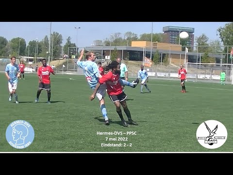 Samenvatting Hermes DVS - PPSC