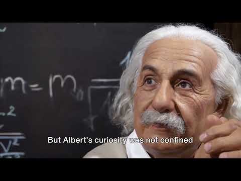 Einstein's Vision   A Journey Through 'The World as I See It'