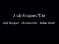 Andy Sheppard Trio
