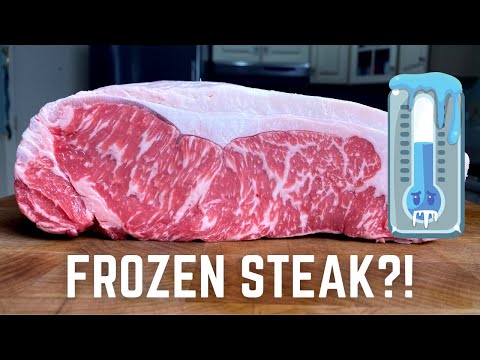 FROZEN Steak Experiment