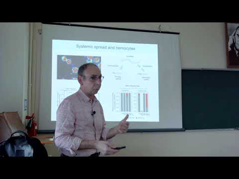 Raul Andino: Antiviral immunity in insects and the acquisition of endogenous viral elements