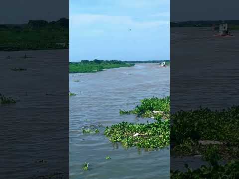 Imagen serena del Río Magdalena a su paso por Barranquilla #naturaleza  #sonidosrelajantes