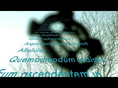 Introitus-in-ascensione-Domini-viri-galilaei