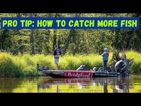 Pro Tip: You Will Catch More Fish By Doing This