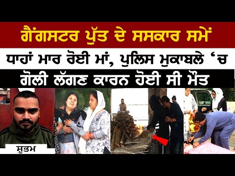 Ludhiana Gangster News