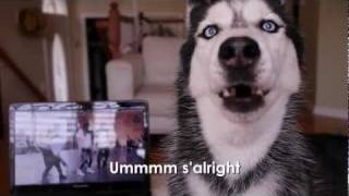 Mishka's Review of Rebecca Black's "My Moment" - SUBTITLED