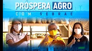 Miniatura do vídeo