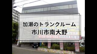 YouTube動画