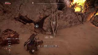 Horizon forbidden west