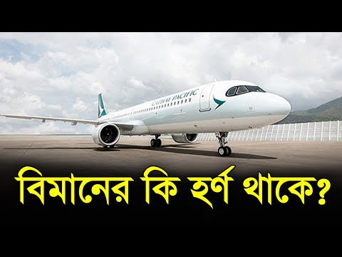 বিমানের কি হর্ণ থাকে?