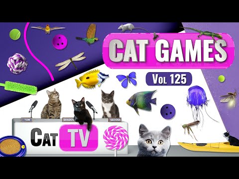 CAT Games | Ultimate Cat TV Compilation Vol 125 | 8 HOURS  🐝🐞🦋🦎🦜🐜🐭🧵