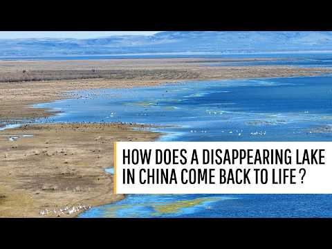 How does a disappearing lake in China come back to life?