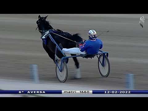Aversa trotto 12 Febbraio 2022 - 6° Corsa