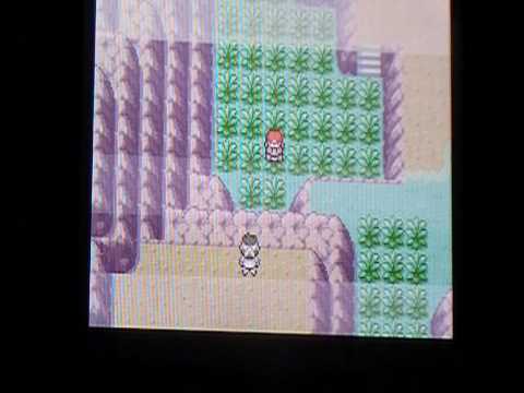 LIVE Shiny encounter! Epic fail... :(