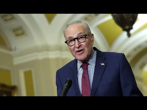 Schumer announces Senate Democrats will vote against ICE funding