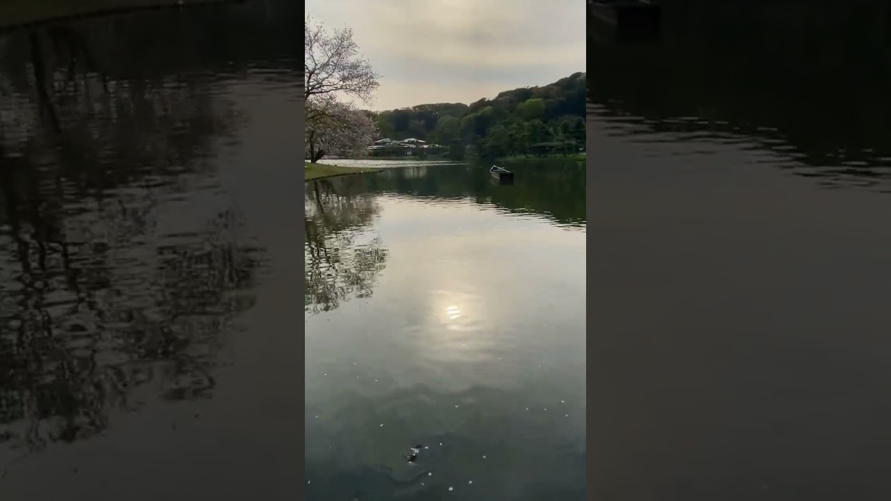 YouTube Short thumbnail