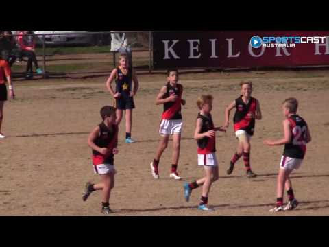 2016 EDFL - U12 Div 2 Grand Final - Pascoe Vale highlights